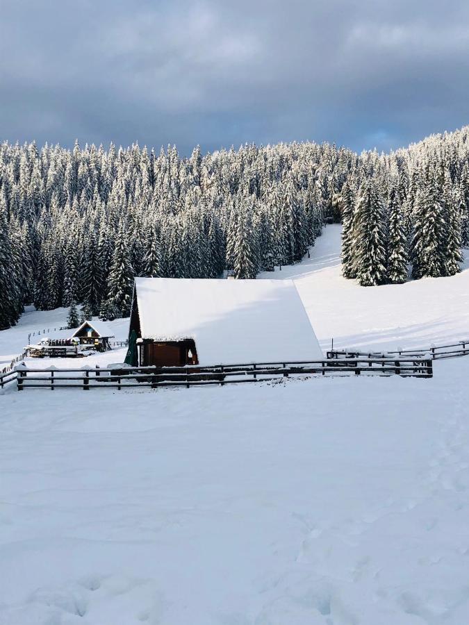 Cosy Chalet On Pokljuka - Brunarica Tinkara Zgornje Gorje Exterior foto